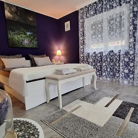 Studio apartman Marta Korenica Bagian luar foto