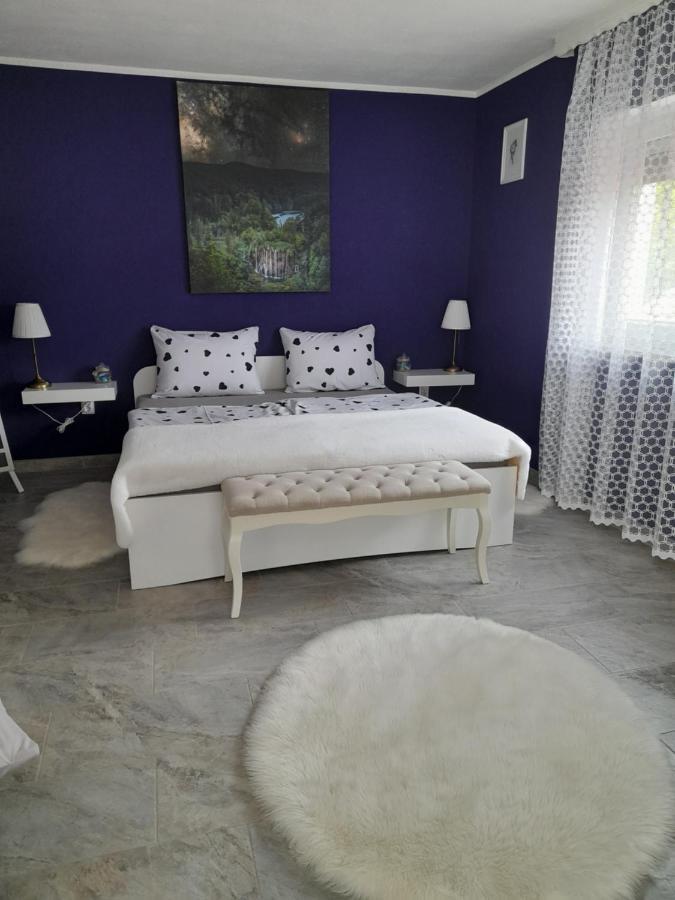 Studio apartman Marta Korenica Bagian luar foto