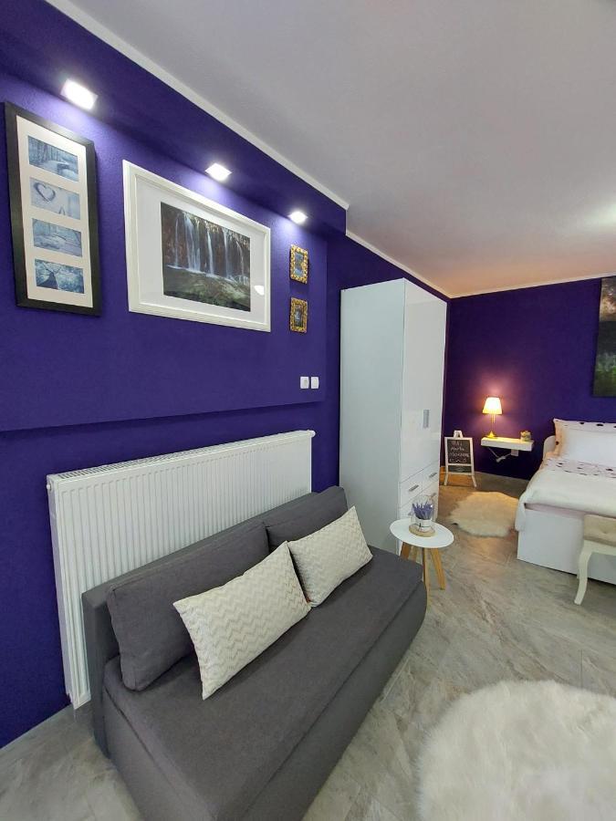 Studio apartman Marta Korenica Bagian luar foto