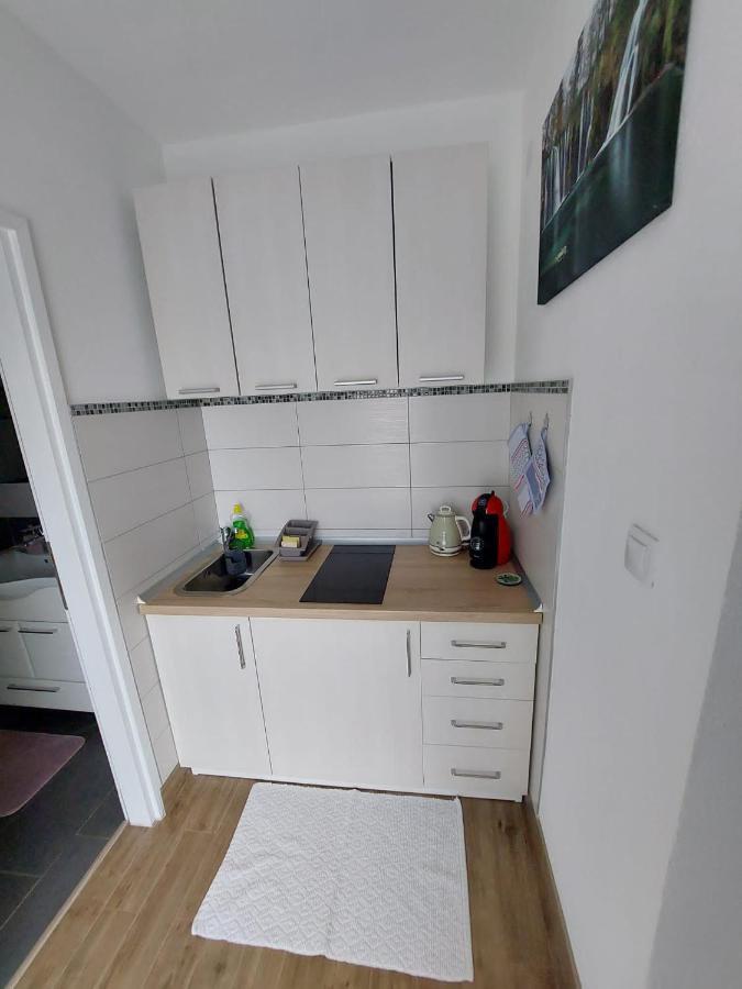 Studio apartman Marta Korenica Bagian luar foto