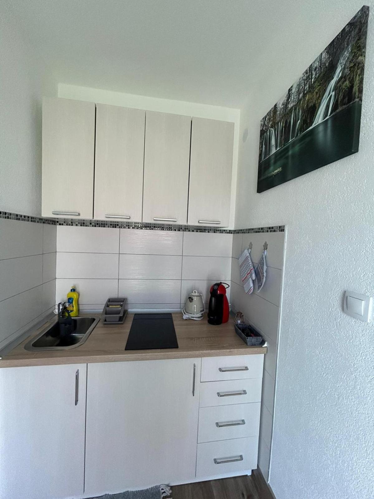 Studio apartman Marta Korenica Bagian luar foto